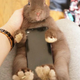 Illustration for article titled Dont Use Real Rabbits as Your Smartphone Case
